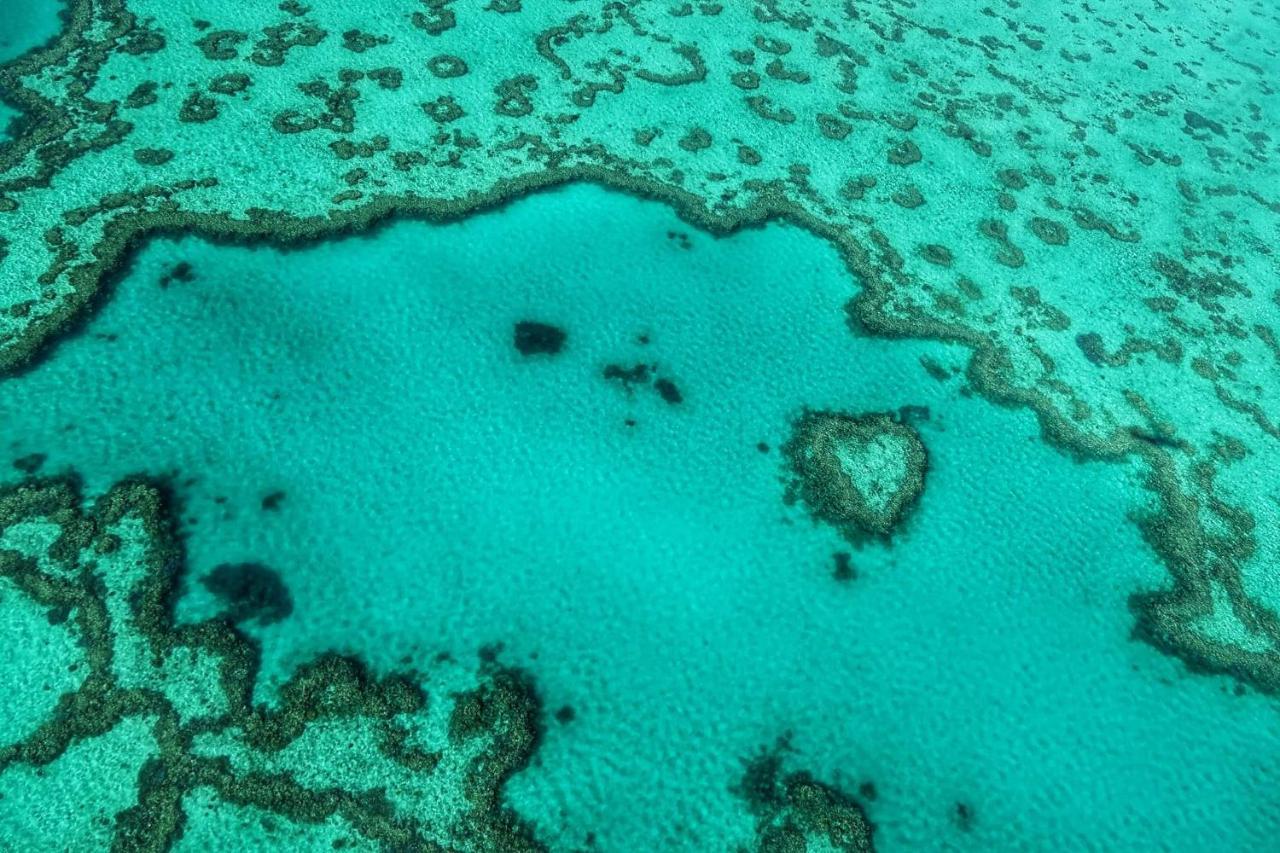 Heart Of Airlie Beach Apartment エクステリア 写真